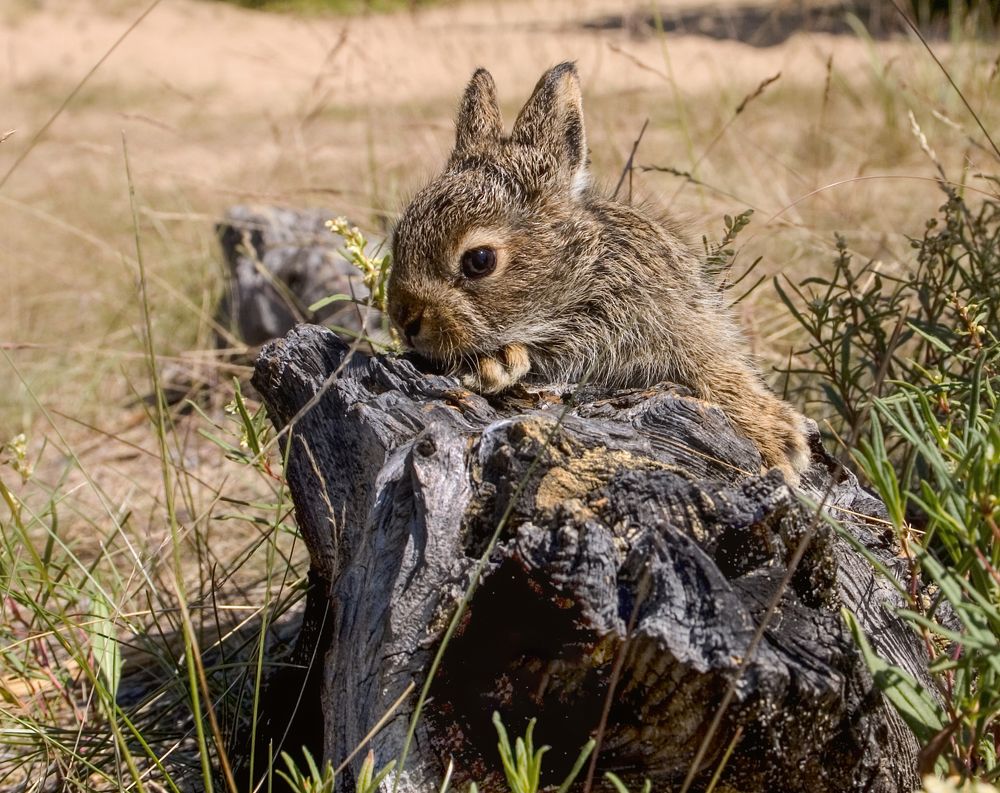 Photograph by Юрий Борик