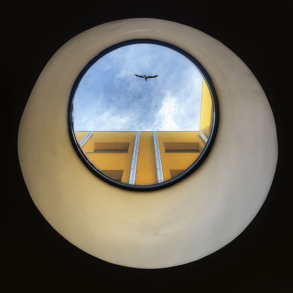 Фотография автора Erfan Rabiei dastjerdi