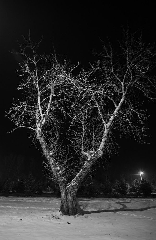 Photograph by Константин Искучеков