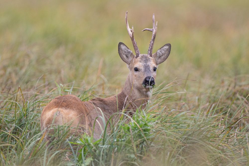 Фотография автора Артём Фёдоров