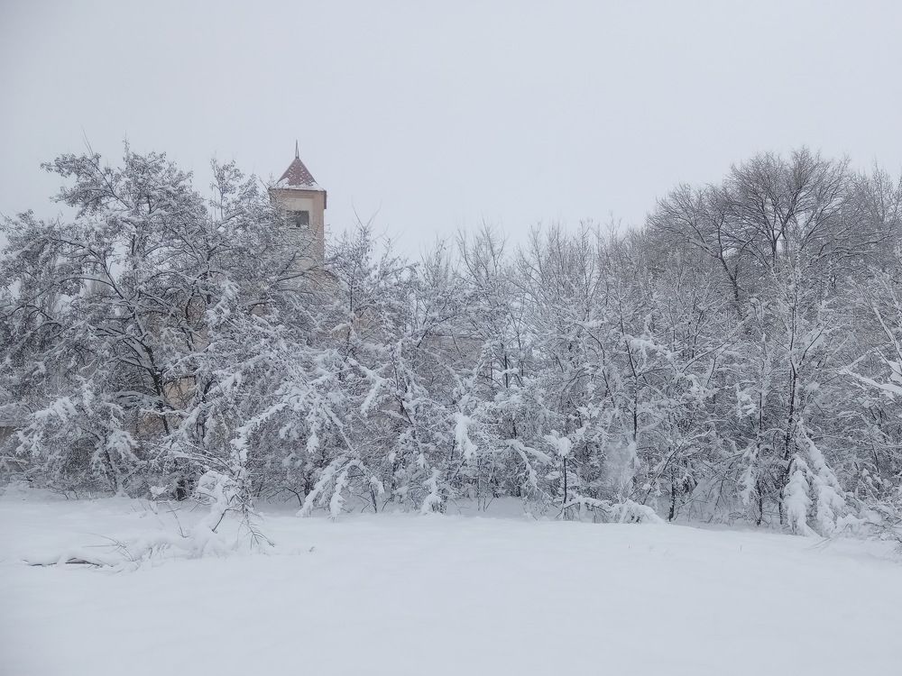 Заснеженное...