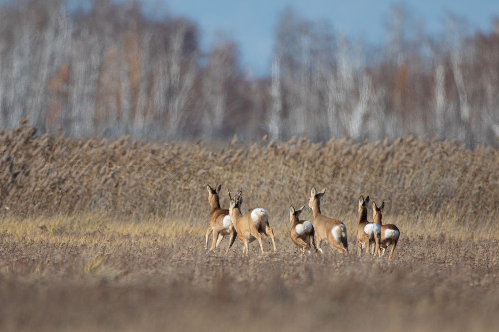 Фотография автора Артём Фёдоров