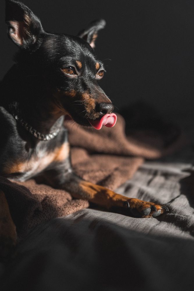 Photograph by Игорь Еремеев