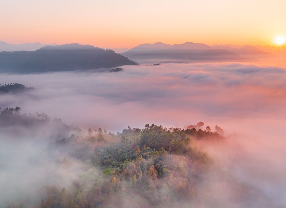 Photograph by MT-nguyen