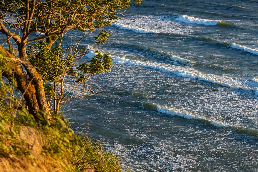 Photograph by Константин Чижов