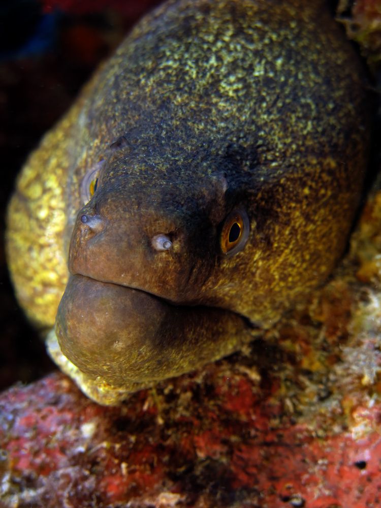 Photograph by Дмитрий Челноков