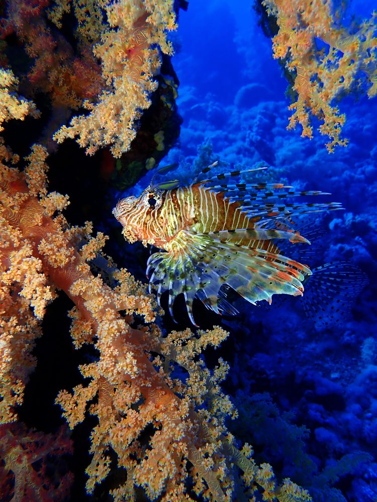 Photograph by Дмитрий Челноков