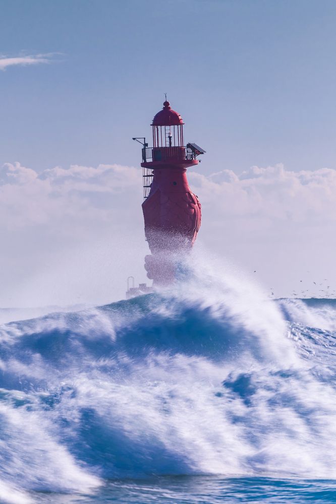 Фотография автора NGUYEN XUAN BAC