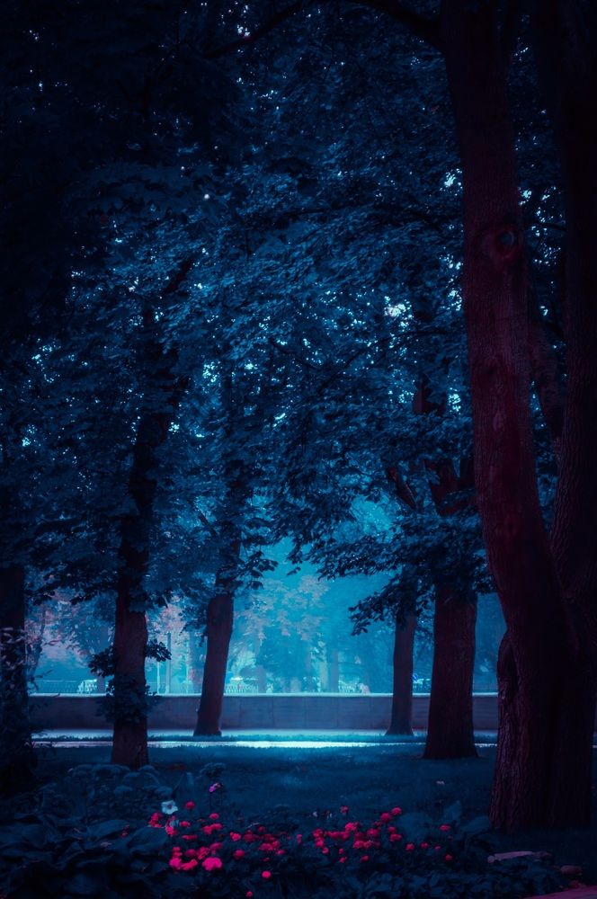 Photograph by Максим Шумченя