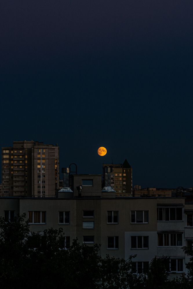 Photograph by Александр Тагаев