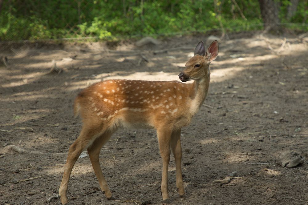 Photograph by Елена Кондратьева