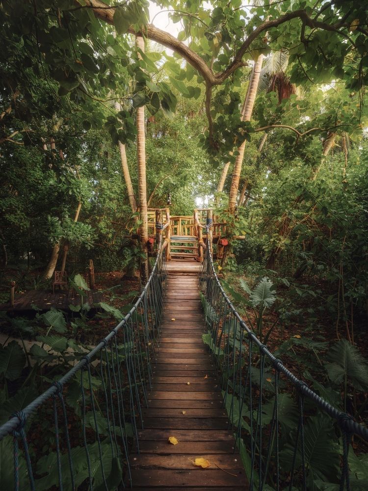 Photograph by Mikhail Kozlov