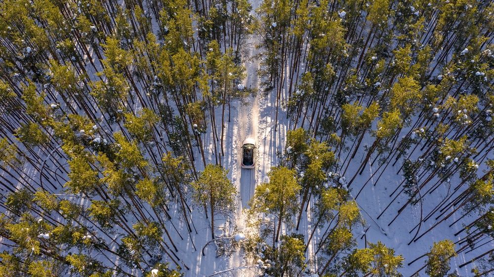 Фотография автора Дмитрий Храмцов
