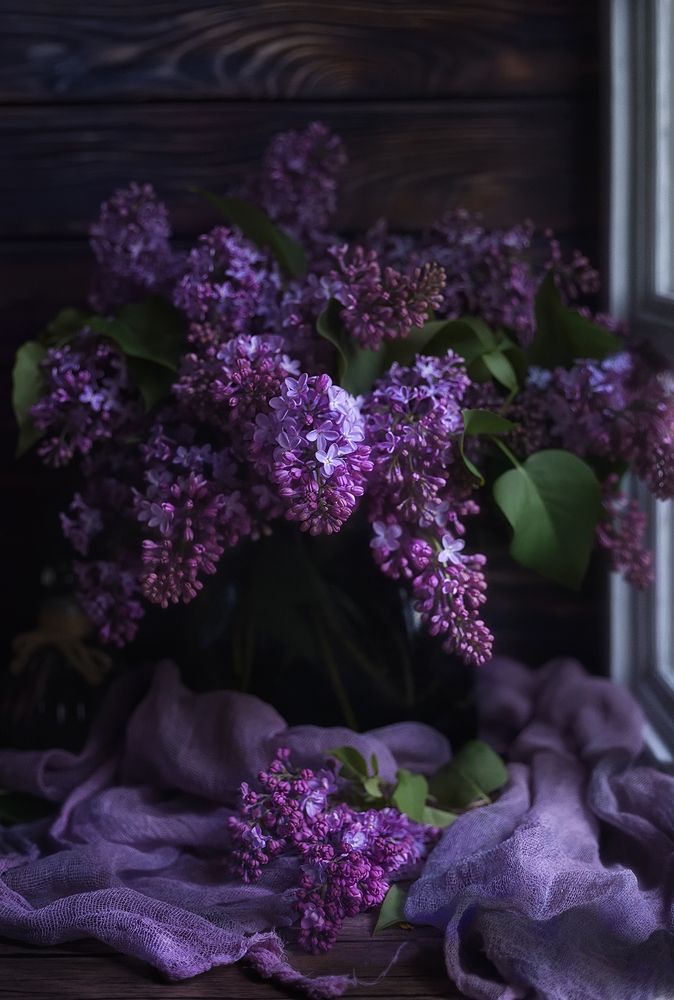 Сиреневый вечер