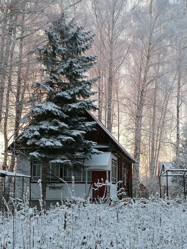 Морозный вечер