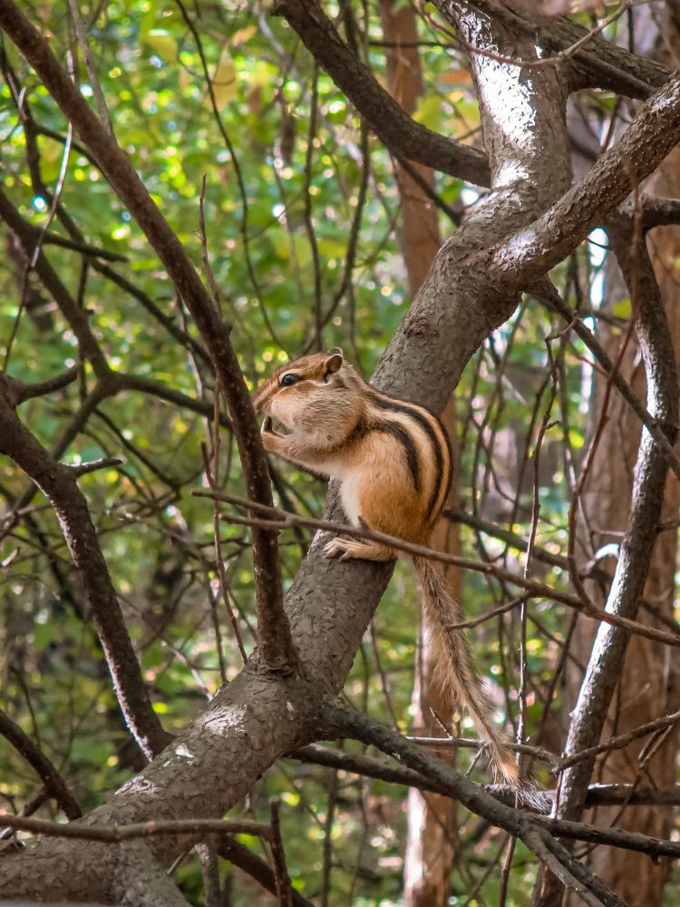 Photograph by Дарья Овсянникова