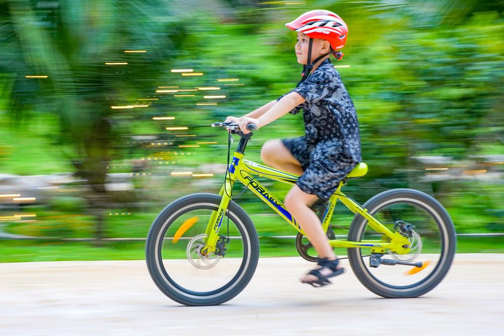 Photograph by Vũ Sơn Lâm