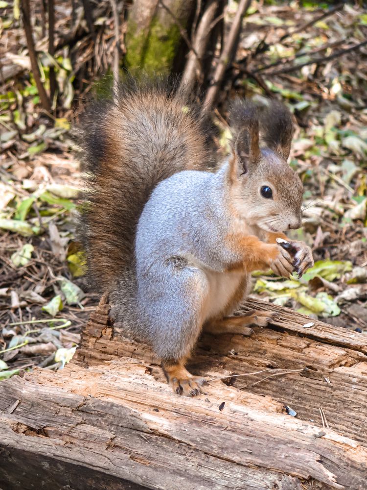 Photograph by Дарья Овсянникова