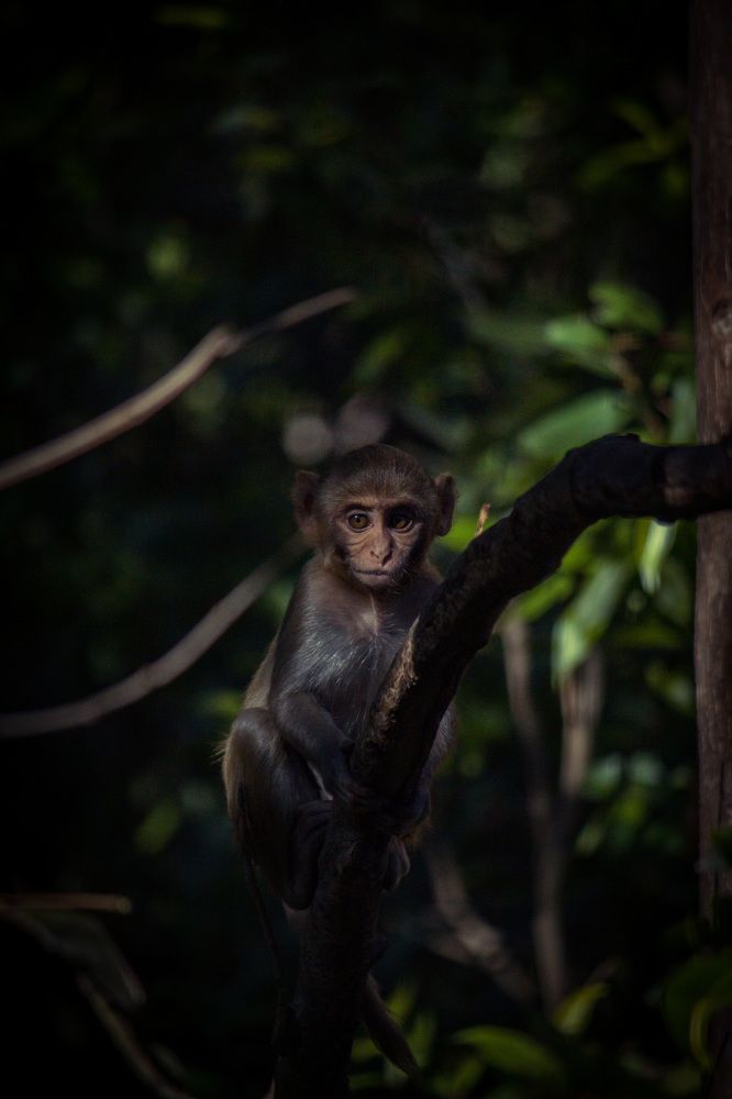 Photograph by Anshuman Tiwari