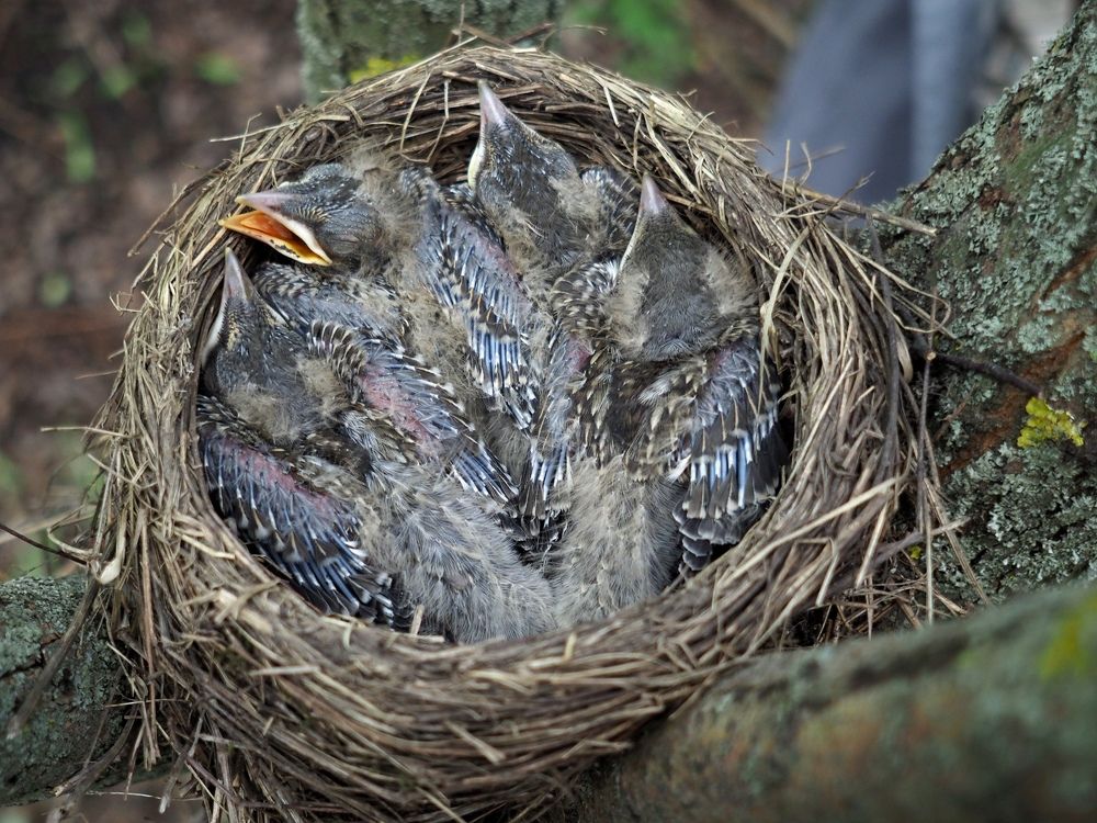 Photograph by Алексей Поляков