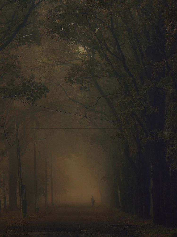 Photograph by Владимир Кульбит