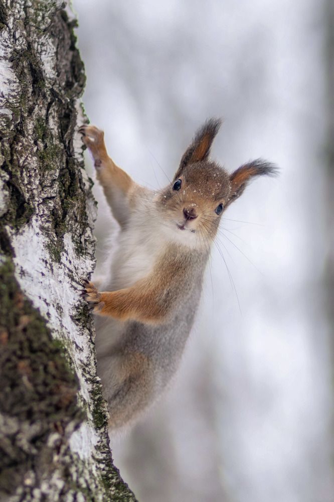 Photograph by Анастасия Глазюк