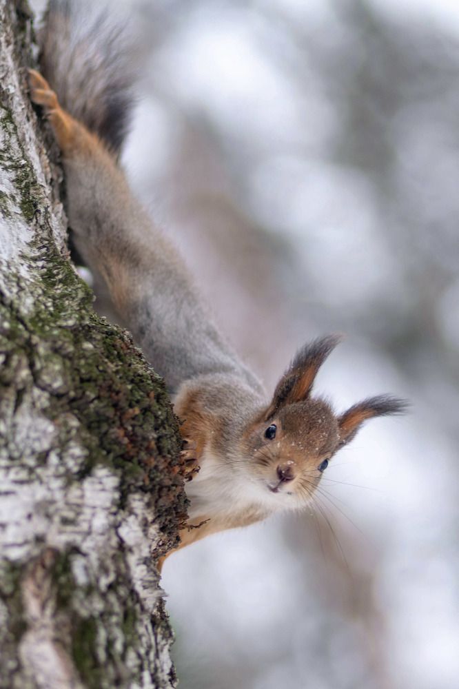 Photograph by Анастасия Глазюк
