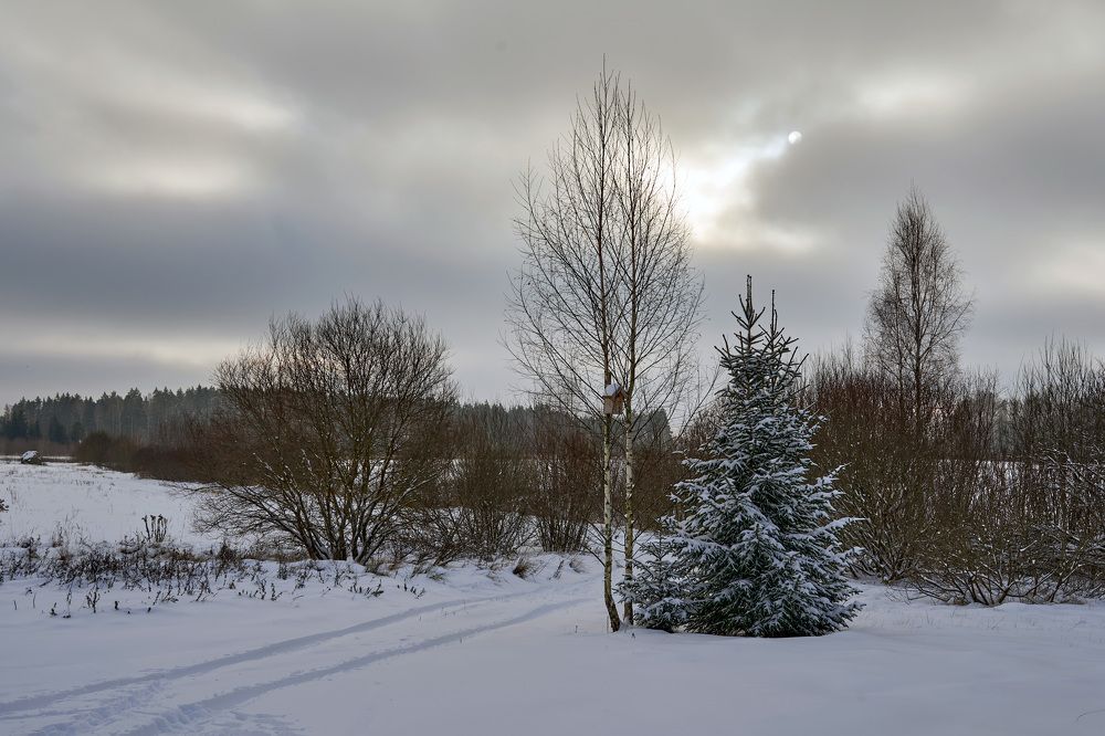 Photograph by Aleksandras Meisutovicius