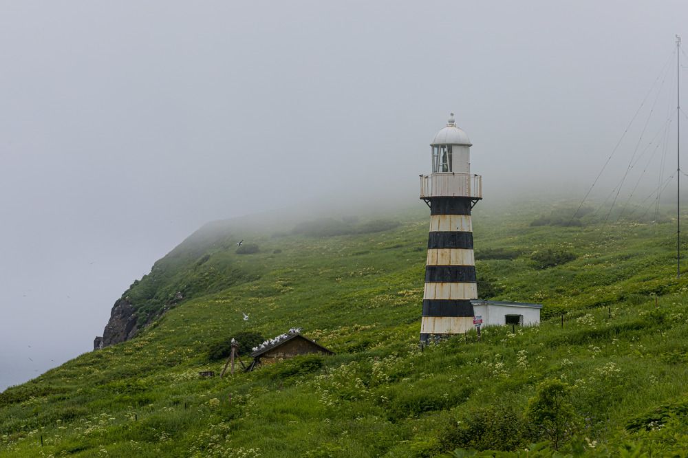Photograph by Сергей Улыбышев