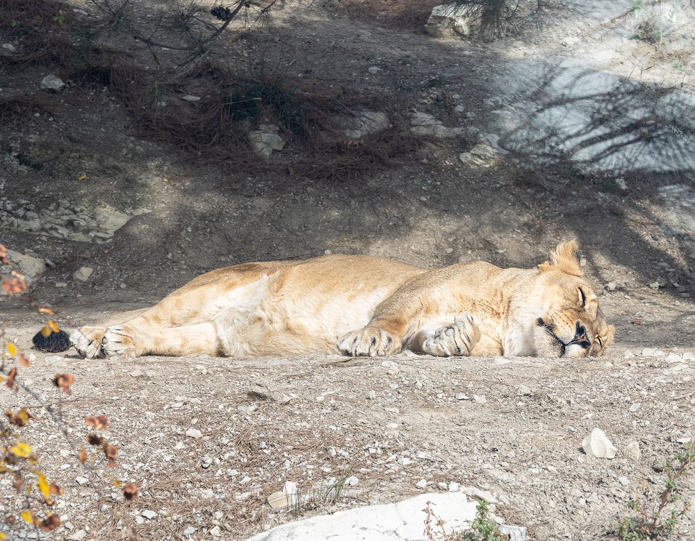 Photograph by Олеся Грекова