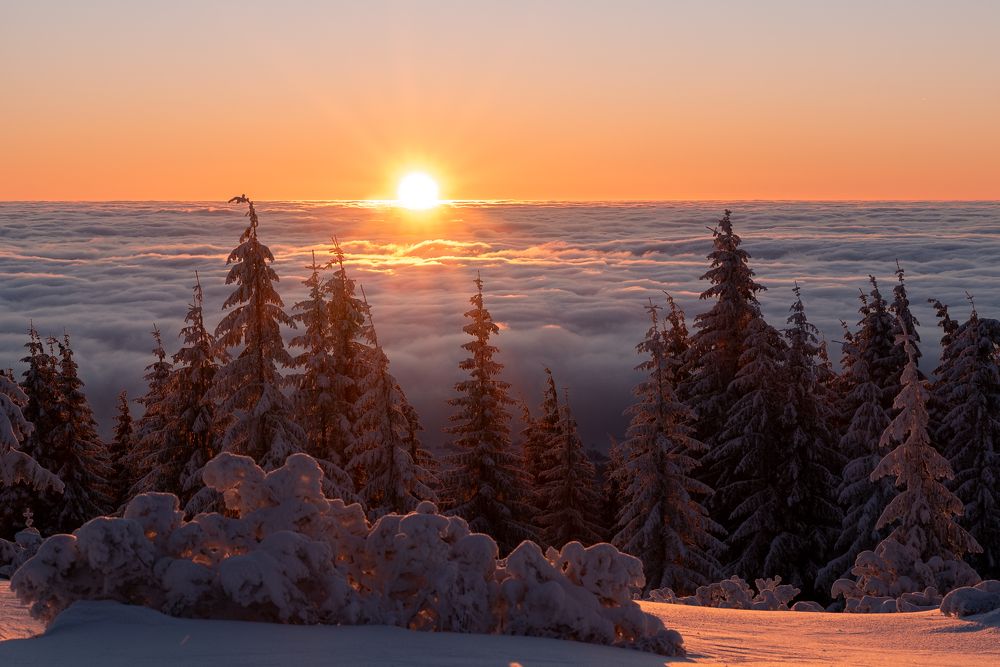 Photograph by Alin Bicas