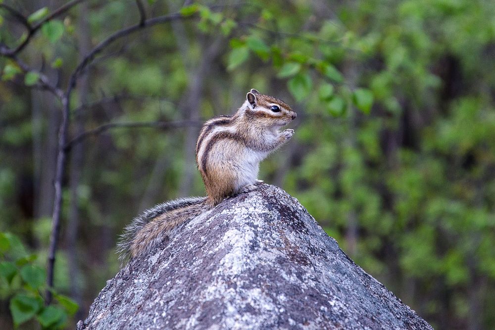 Photograph by Анастасия Глазюк
