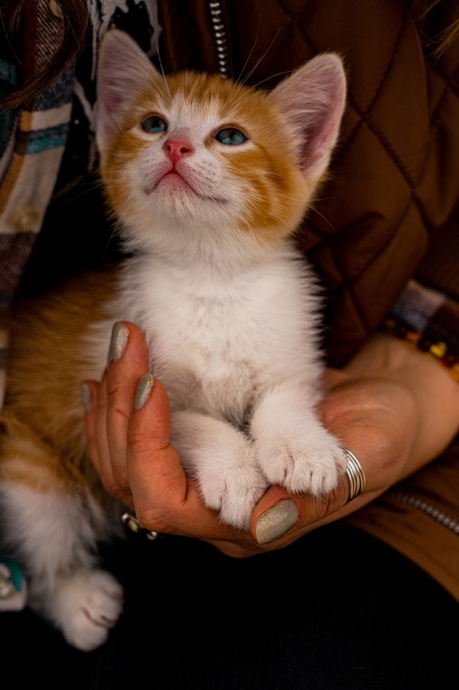 Photograph by Герман Крупенин