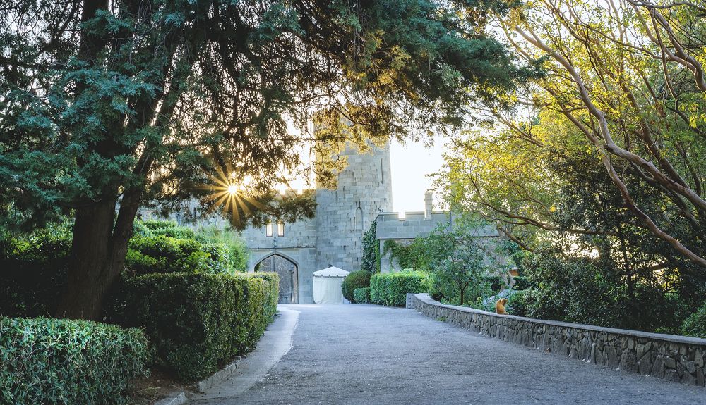 Photograph by Наталья Шелест