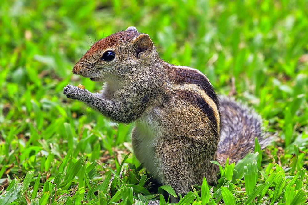 Photograph by Михаил Баевский