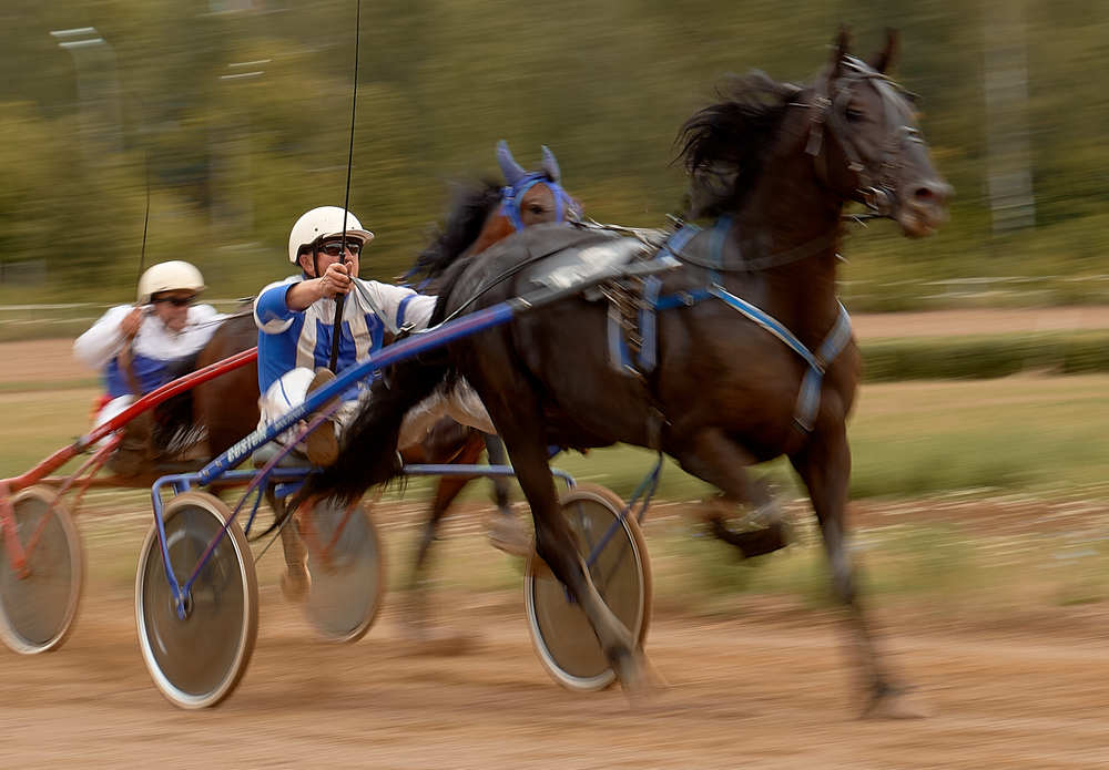 Photograph by Сергей