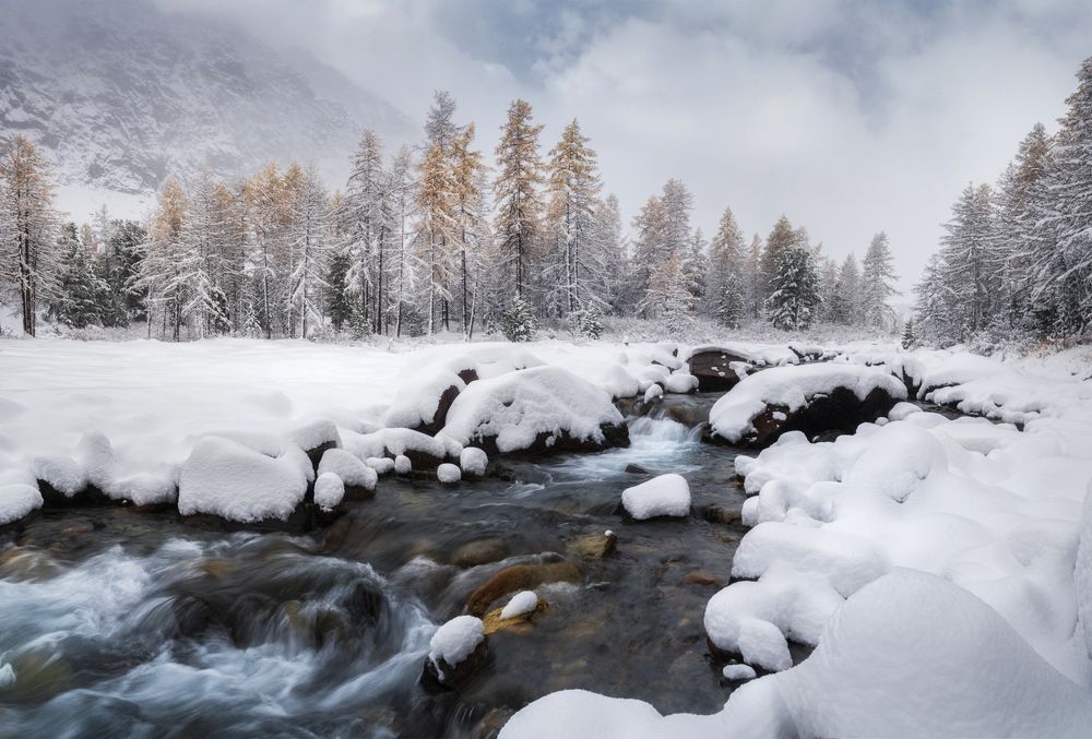 Photograph by Рубан Алена