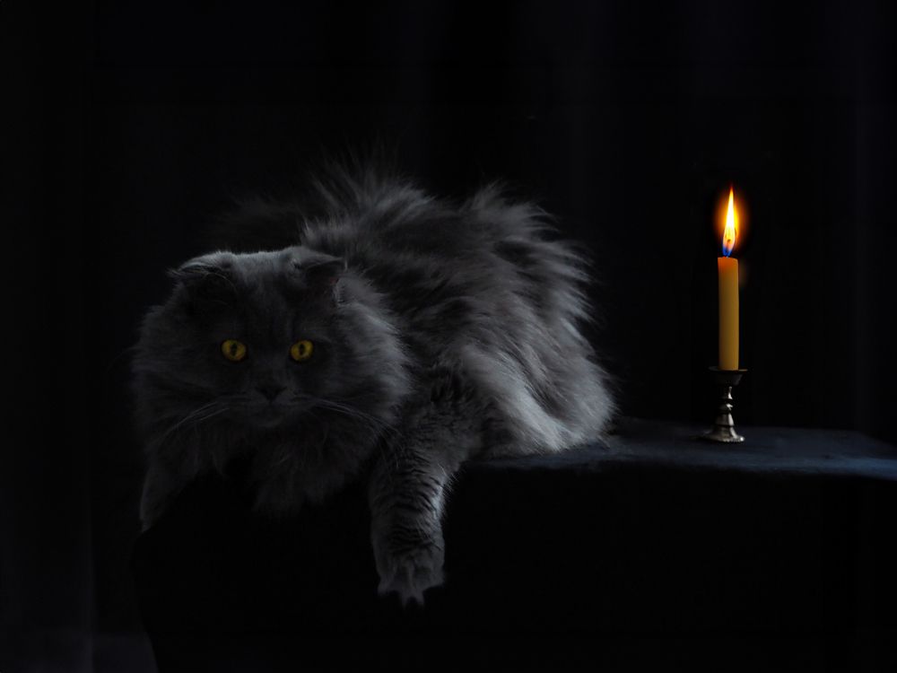 Photograph by Ольга Неведрова