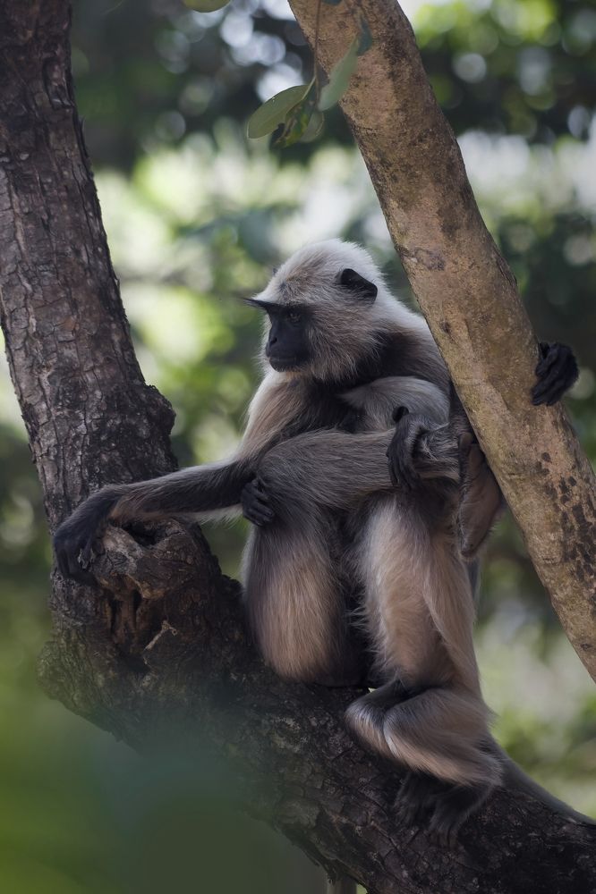 Photograph by Arindam Mallick