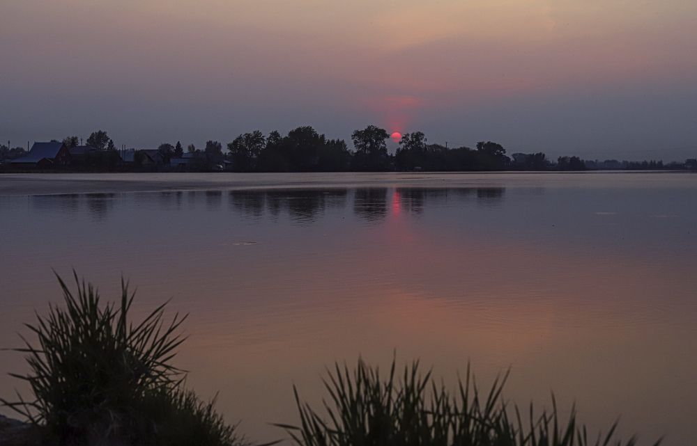 Фотография автора Светлана Цудзевич