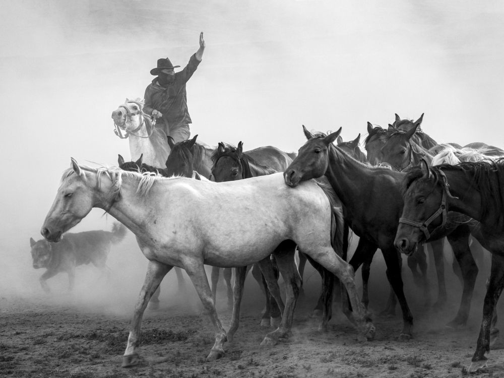 Фотография автора Aylin Turnator