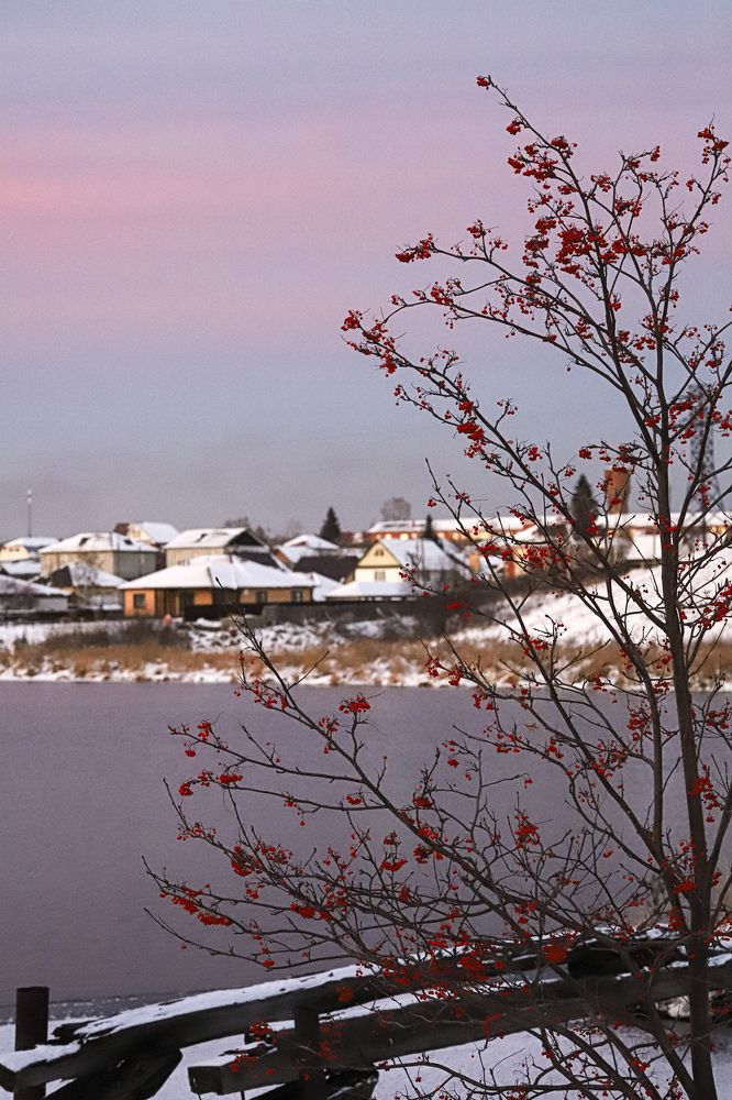 Фотография автора Светлана Цудзевич