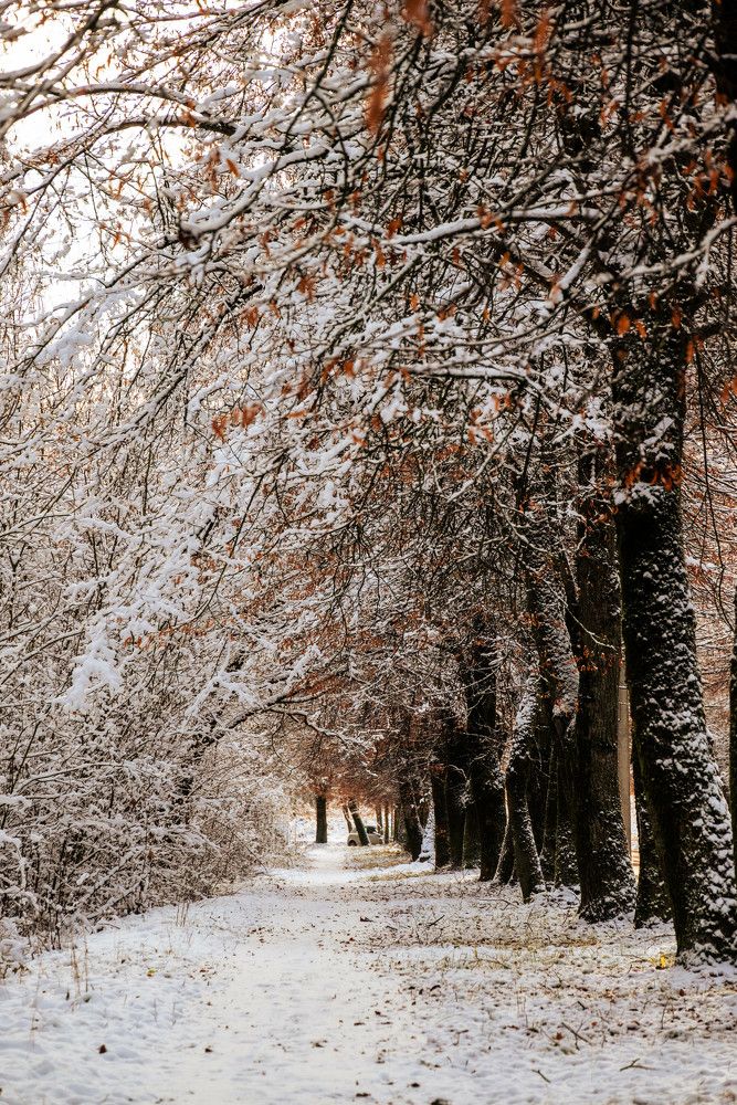 Photograph by Марина Попова