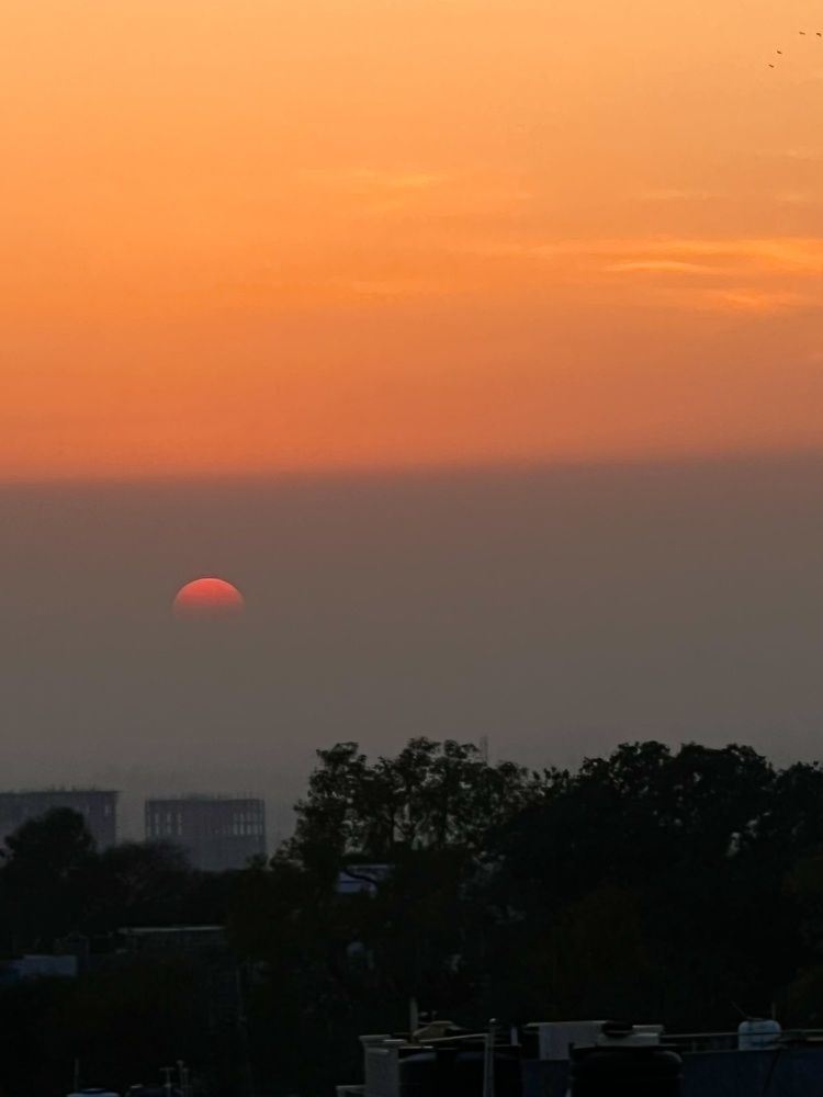 Photograph by Sharma Dr Megha