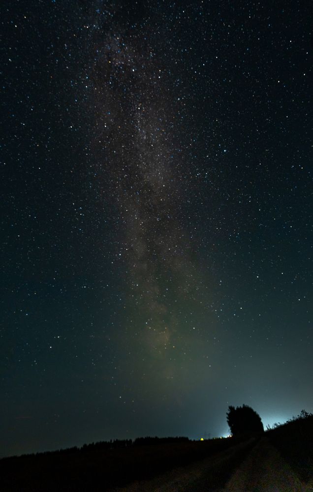 Фотография автора Александр Дюльгер
