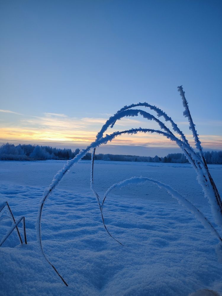 Photograph by Гребенева Мария