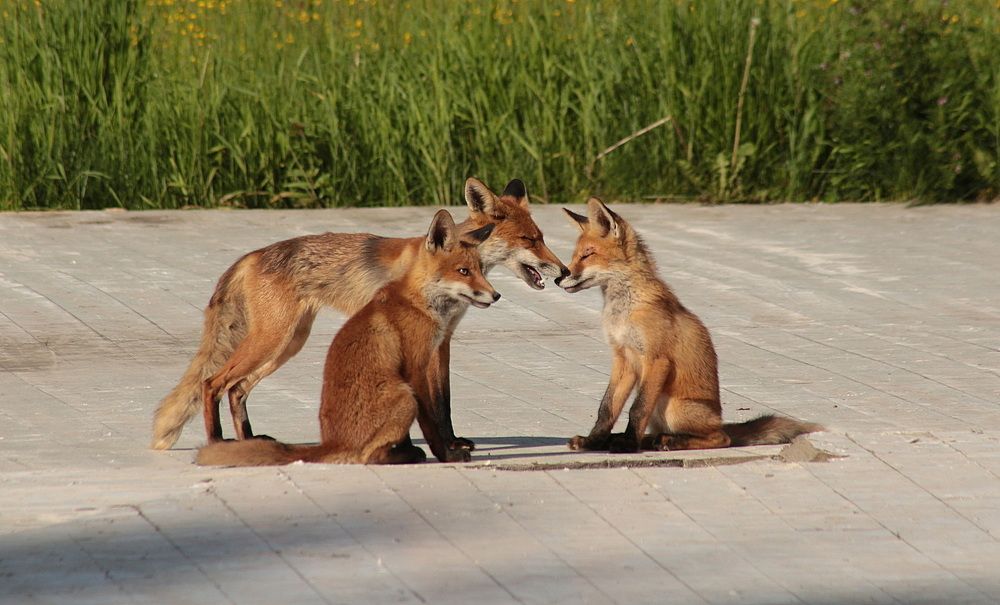 Photograph by Александр Кожевников