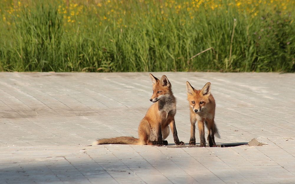 Photograph by Александр Кожевников