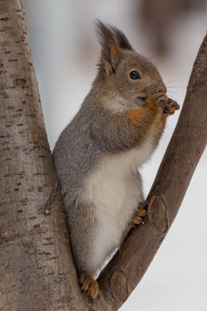 Photograph by Анастасия Глазюк