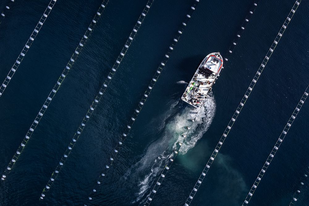 Photograph by İsmail serhat Şahin